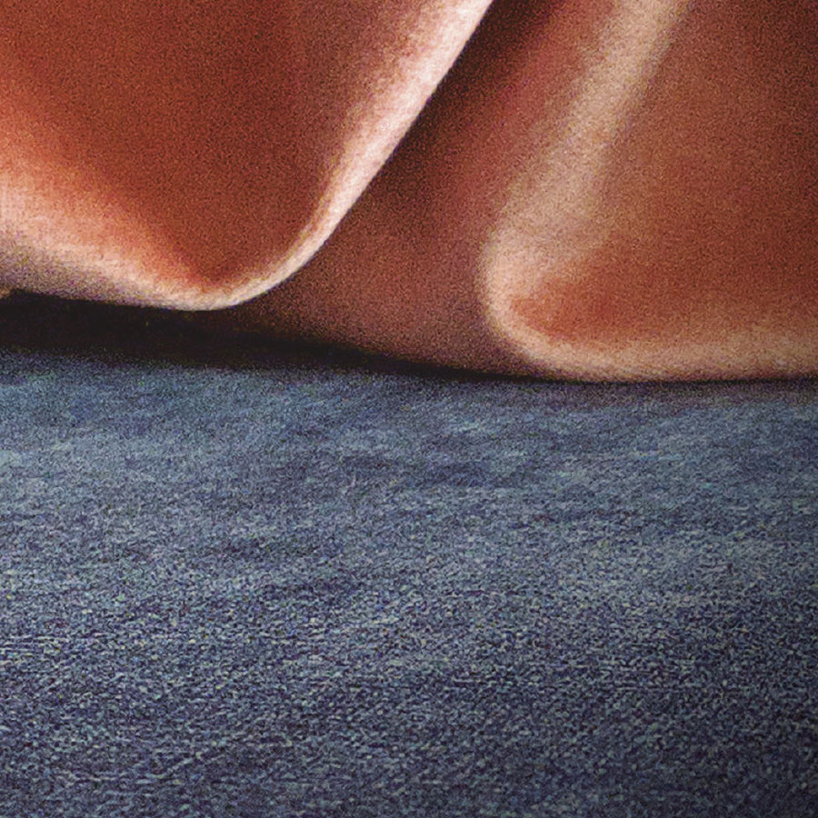 Detalle Cigno Vicotex