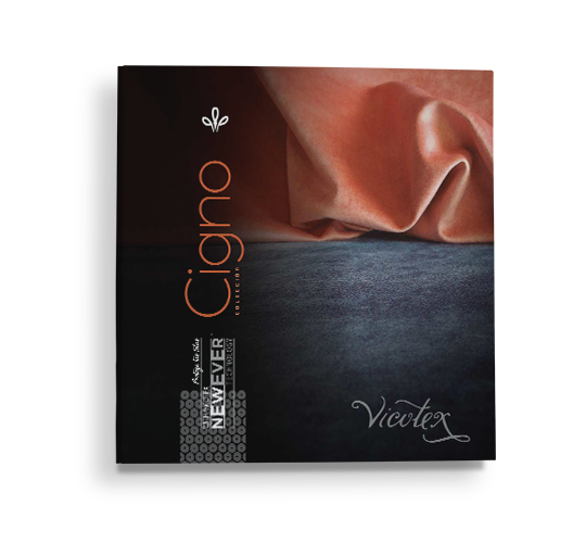 Portada Carpeta Cigno