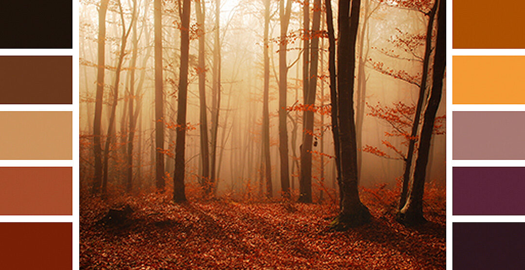 Los colores del otoño