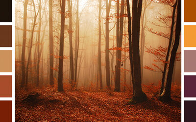 Los colores del otoño