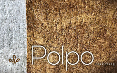 Polpo, colección de enero