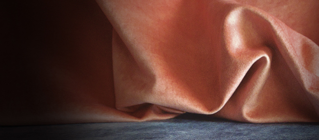 Detalle Cigno